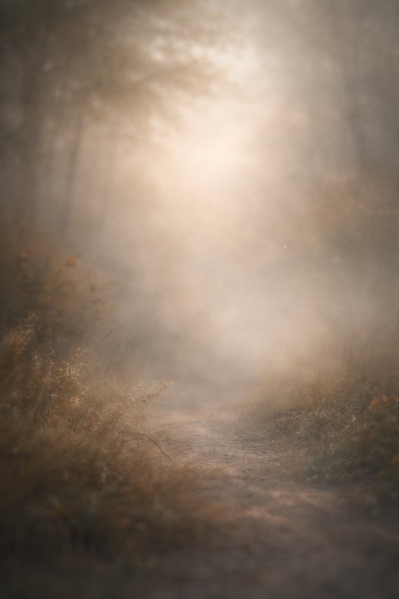 Mysterious landscape - some places don't ask you to stay